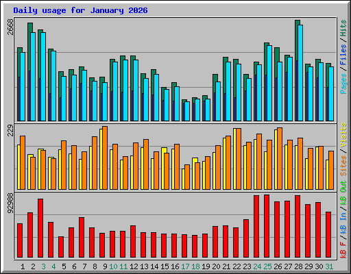 Daily usage for January 2026