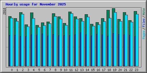 Hourly usage for November 2025