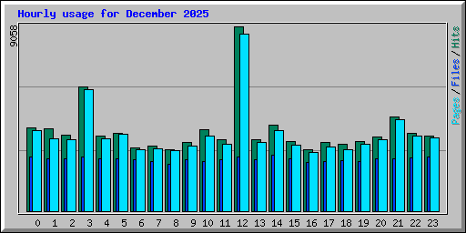 Hourly usage for December 2025