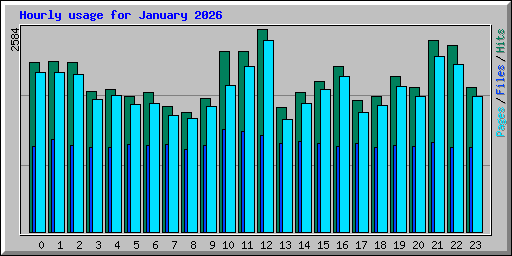 Hourly usage for January 2026