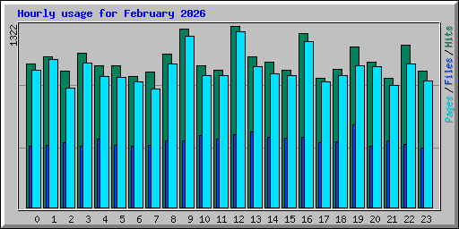 Hourly usage for February 2026
